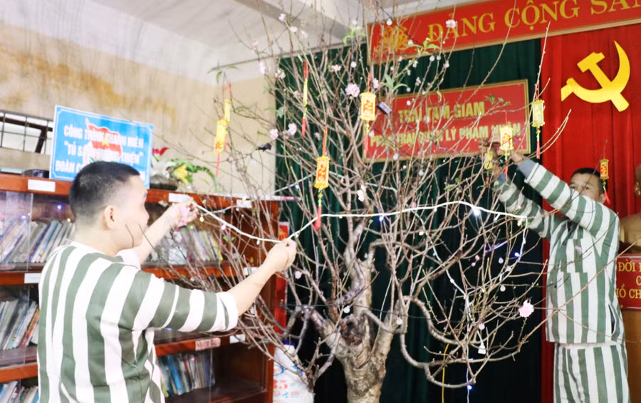 Phạm nhân trang trí cây đào đón Tết Quý Mão tại Trại tạm giam Công an tỉnh Nghệ An. Ảnh: Hồ Lài.