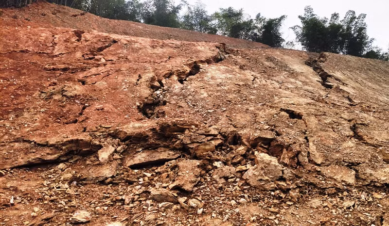 Mái ta - luy dương nứt toác từ trên đỉnh.