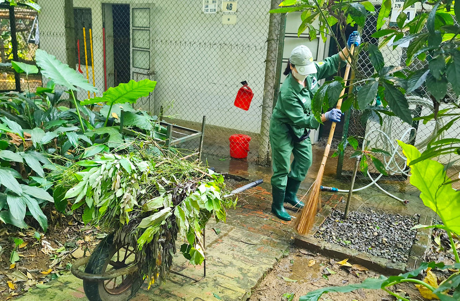 Cán bộ nhân viên của Trung tâm chuẩn bị thức ăn và làm công tác vệ sinh chuồng trại. Mỗi ngày, số linh trưởng của Trung tâm “ngốn” từ 300 - 400 kg lá, thuộc khoảng 160 loài cây. Nguồn thức ăn này được lấy từ khu vực rừng trồng và khu phục hồi sinh thái. Cán bộ nhân viên của Trung tâm chuẩn bị thức ăn và làm công tác vệ sinh chuồng trại. Mỗi ngày, số linh trưởng của Trung tâm “ngốn” từ 300 - 400 kg lá, thuộc khoảng 160 loài cây. Nguồn thức ăn này được lấy từ khu vực rừng trồng và khu phục hồi sinh thái.
