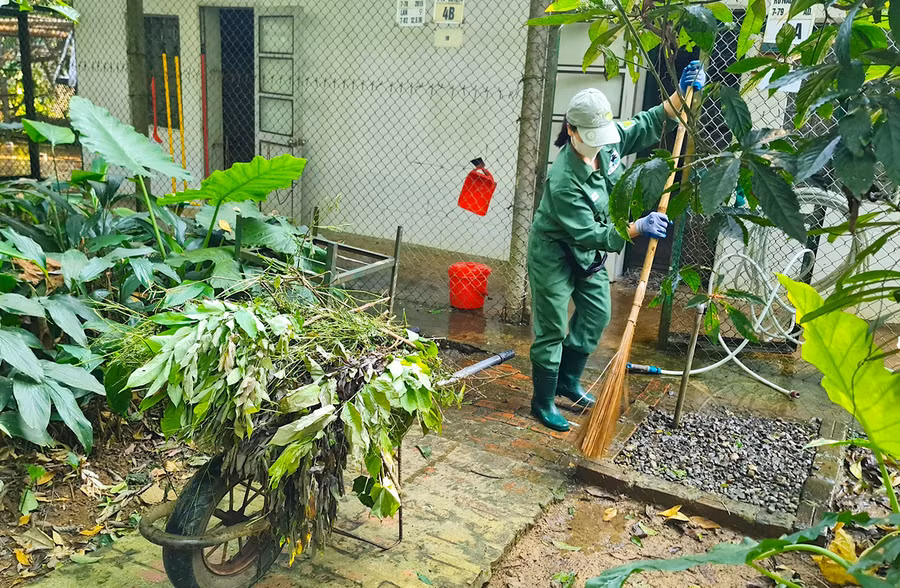 Cán bộ nhân viên của Trung tâm chuẩn bị thức ăn và làm công tác vệ sinh chuồng trại. Mỗi ngày, số linh trưởng của Trung tâm “ngốn” từ 300 - 400 kg lá, thuộc khoảng 160 loài cây. Nguồn thức ăn này được lấy từ khu vực rừng trồng và khu phục hồi sinh thái.