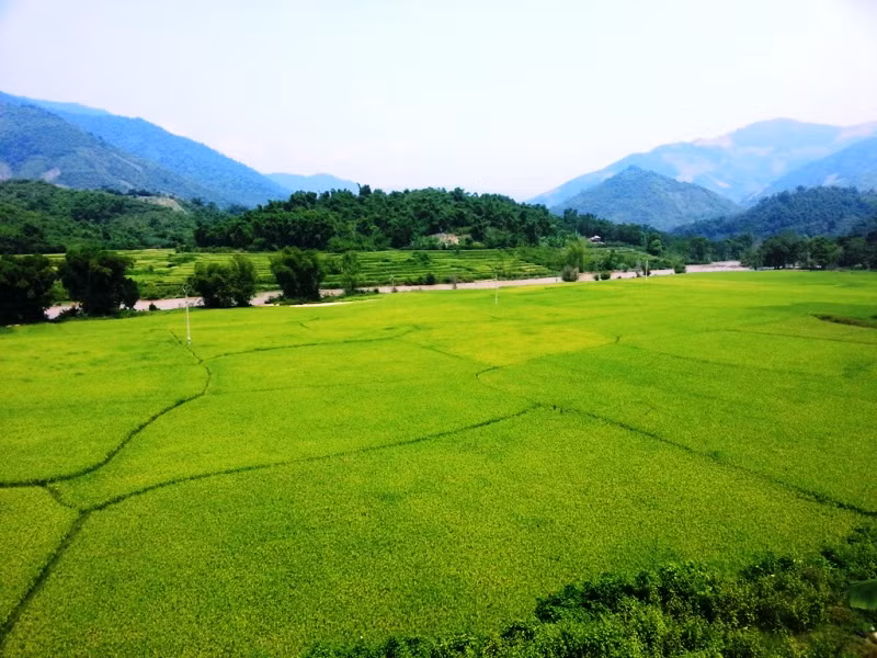 Cánh đồng lúa của người dân bản Xim, xã Quang Chiểu (Mường Lát, Thanh Hóa.