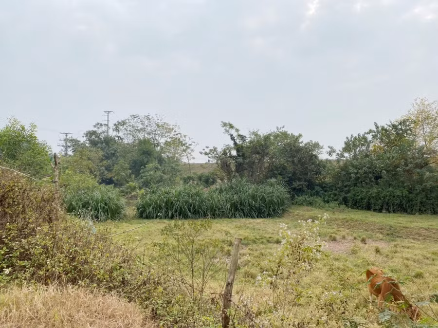 Vị trí khu đất xâm canh, đoạn cuối đường Thượng Trưng – Tuân Chính của gia đình ông Dần sẽ thực hiện cưỡng chế thu hồi đất triển khai dự án