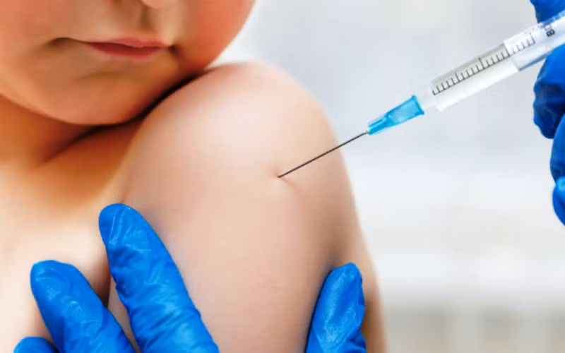 (Ảnh minh họa. Nguồn: Internet)