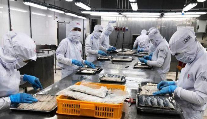Nhiều ngành nghề đang có nhu cầu tuyển dụng lớn. Ảnh minh hoạ Nhiều ngành nghề đang có nhu cầu tuyển dụng lớn. Ảnh minh hoạ