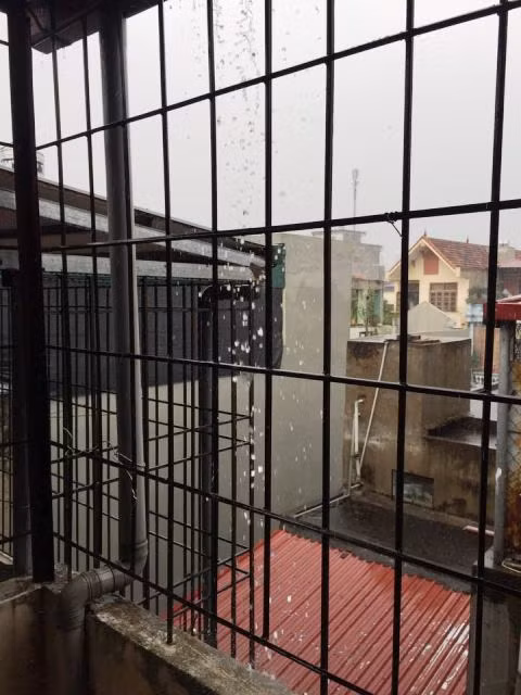 Những viên đá trong cơn mưa trút xuống mái tôn của một nhà dân ở huyện Quảng Xương.