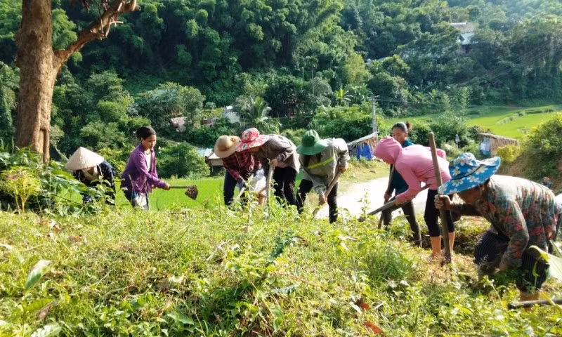 Phụ huynh giúp nhà trường dọn vệ sinh.