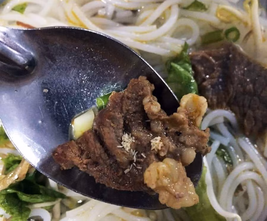 Công nhân phát hiện trong khẩu phần ăn có ổ dòi và trứng dòi