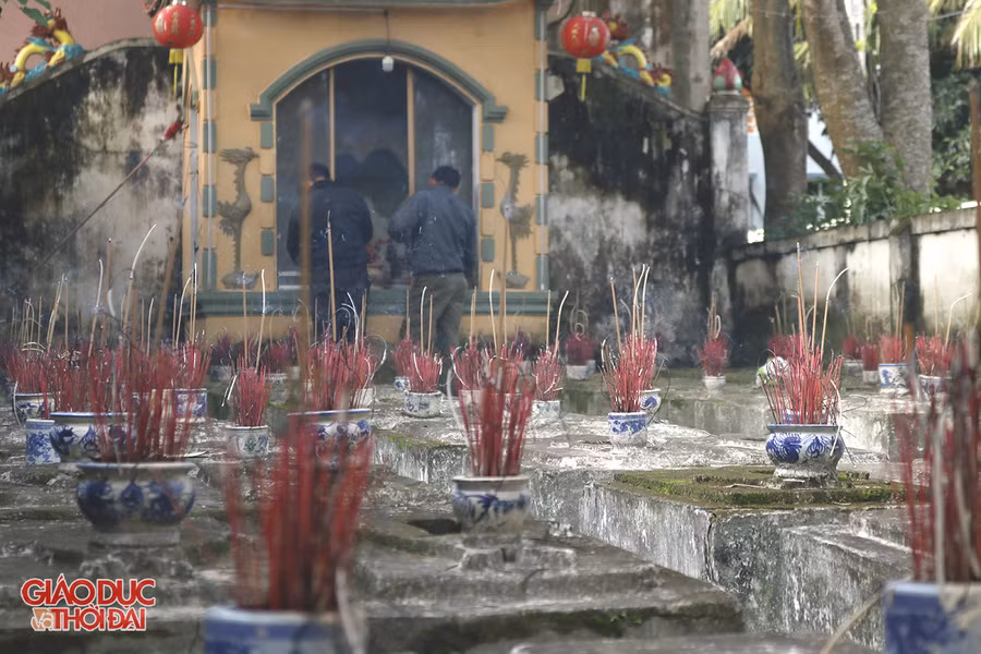 Khu lăng mộ chôn cất 86 cá voi.