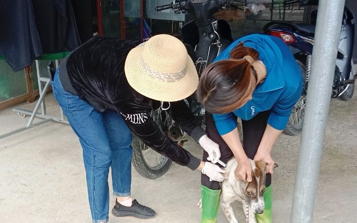 Cán bộ Thú y huyện Quan Hóa tiêm phòng dại cho chó. (Ảnh: H.Ng).