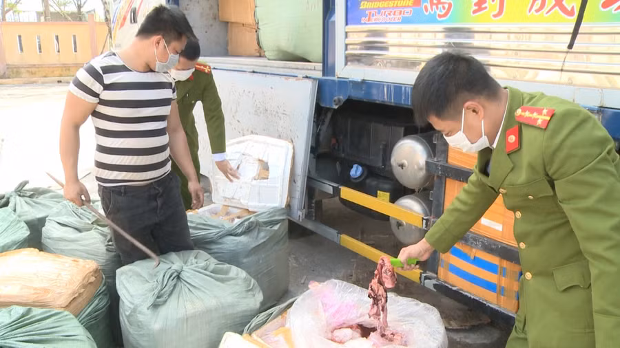 Lực lượng chức năng kiểm tra thu giữ số nội tạng không rõ nguồn gốc