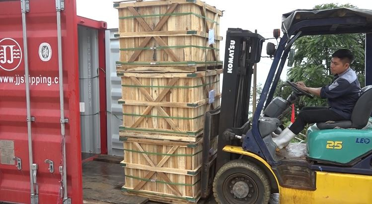 Xuất khẩu container củ gừng trâu muối chính ngạch sang thị trường Nhật Bản.