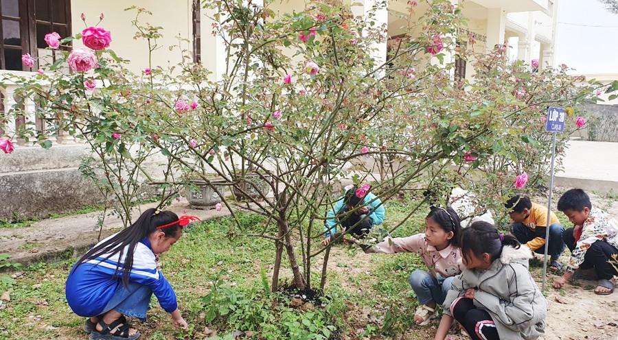 Những gốc hoa được học sinh, giáo viên Trường Phổ thông DTBT Tiểu học Đoọc Mạy chăm sóc trong năm học đã nở hoa vào dịp mùa xuân đến. Ảnh: NTCC Những gốc hoa được học sinh, giáo viên Trường Phổ thông DTBT Tiểu học Đoọc Mạy chăm sóc trong năm học đã nở hoa vào dịp mùa xuân đến. Ảnh: NTCC