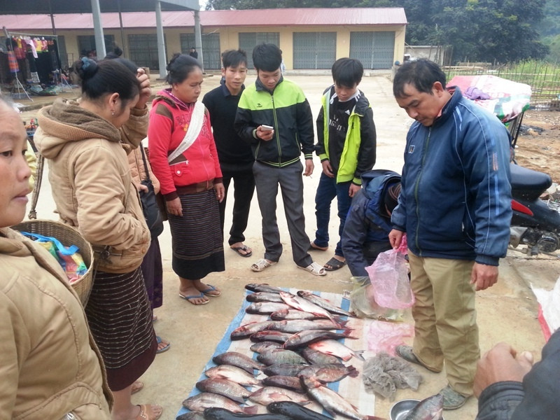 Các loại cá ở dưới xuôi cũng được đưa lên bán ở chợ Na Mèo. Các loại cá ở dưới xuôi cũng được đưa lên bán ở chợ Na Mèo.