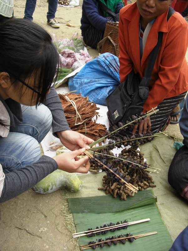 ...và cả những con dơi cũng được nướng bằng than rồi đem ra chợ.