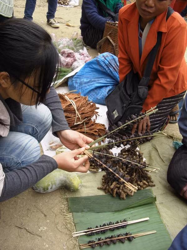 ...và cả những con dơi cũng được nướng bằng than rồi đem ra chợ. ...và cả những con dơi cũng được nướng bằng than rồi đem ra chợ.