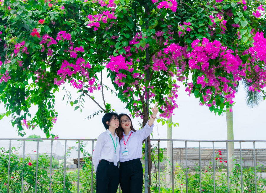 Giao lưu trực tuyến 'Giảm gánh nặng tài chính cho học sinh sinh viên' ảnh 17