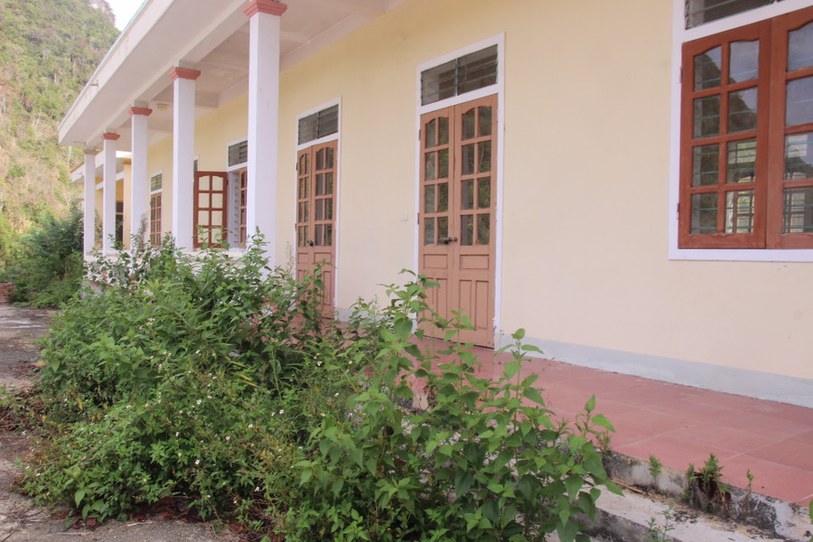 Cỏ dại mọc um tùm trước hành lang lớp học