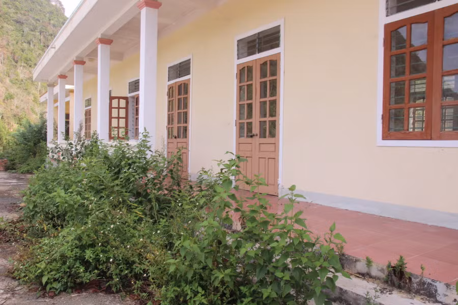 Cỏ dại mọc um tùm trước hành lang lớp học