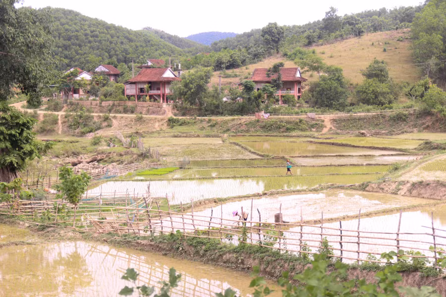 Trước đó, vào năm 2007 đã có hơn 40 hộ dân Đan Lai chuyển đến khu TĐC số 1 tại bản Thạch Sơn, xã Thạch Ngàn (Con Cuông) và nay đã ổn định cuộc sống