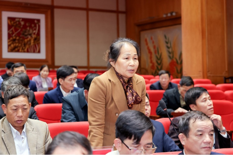 Đại biểu thảo luận tại hội nghị