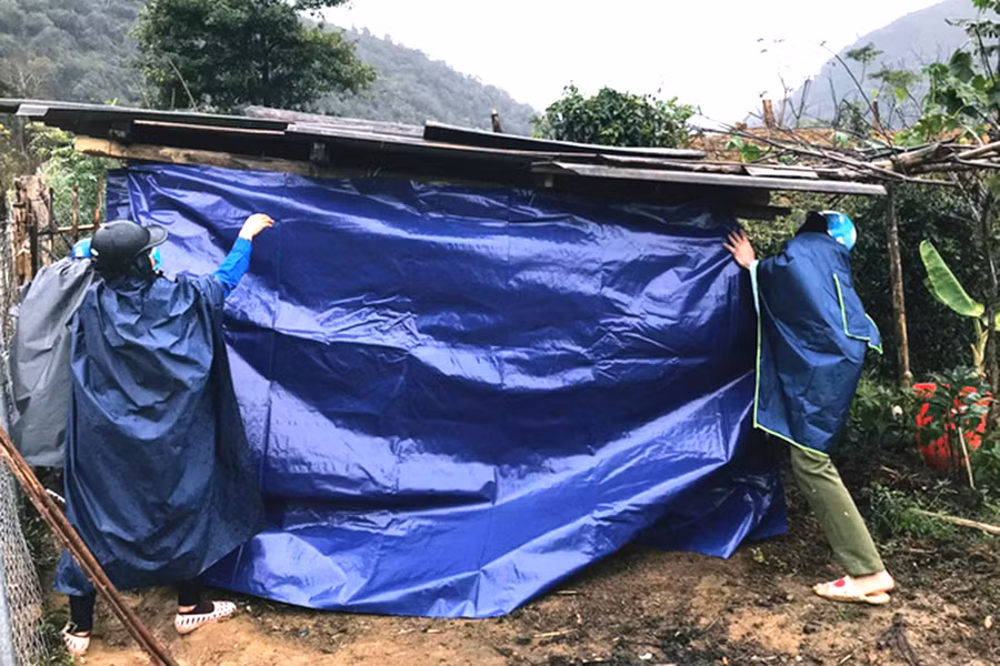 Người dân miền núi Nghệ An gia cố chuồng trại chống rét cho trâu, bò.