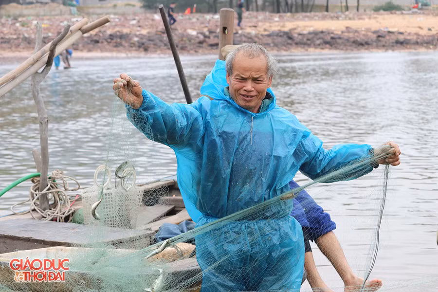 Dù năm nay đã 60 tuổi nhưng ông Hoàng Anh Phương vẫn làm nghề đánh cá.