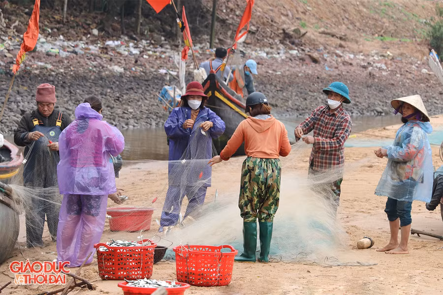 Khi thuyền vừa cập bến, những người thân trong gia đình liền cùng nhau gỡ cá khỏi lưới.