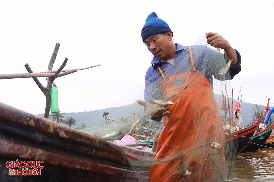 Ông Bùi Xuân Nuôi gỡ cá sau hơn 3 giờ đánh bắt trên biển.