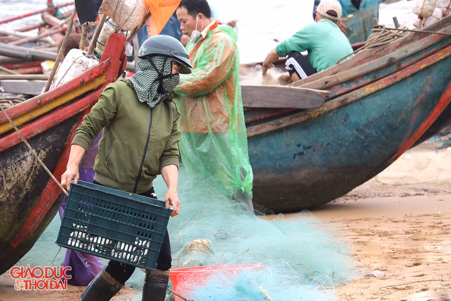 Ngư dân Nghệ An trúng đậm "lộc biển" đầu năm ảnh 6