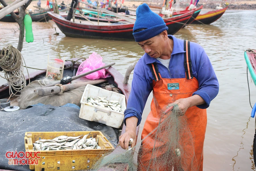 Những chuyến ra khơi bội thu khởi đầu cho một năm mới nhiều may mắn. 