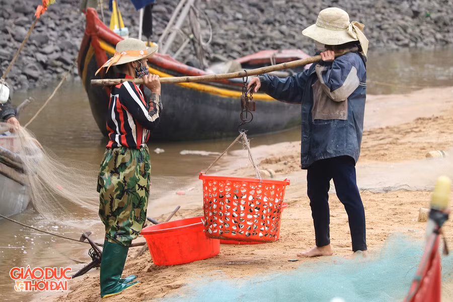 Tiểu thương đến thu mua cá ngay tại bến.