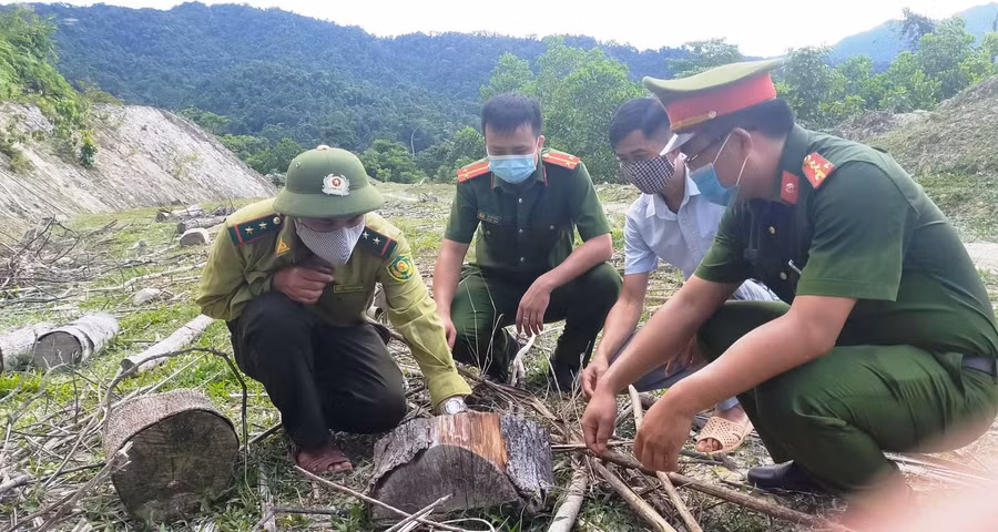 Những khúc gỗ tròn do các bị can chặt hạ đang còn sót lại tại hiện trường. Ảnh: Công an Thanh Hóa cung cấp.