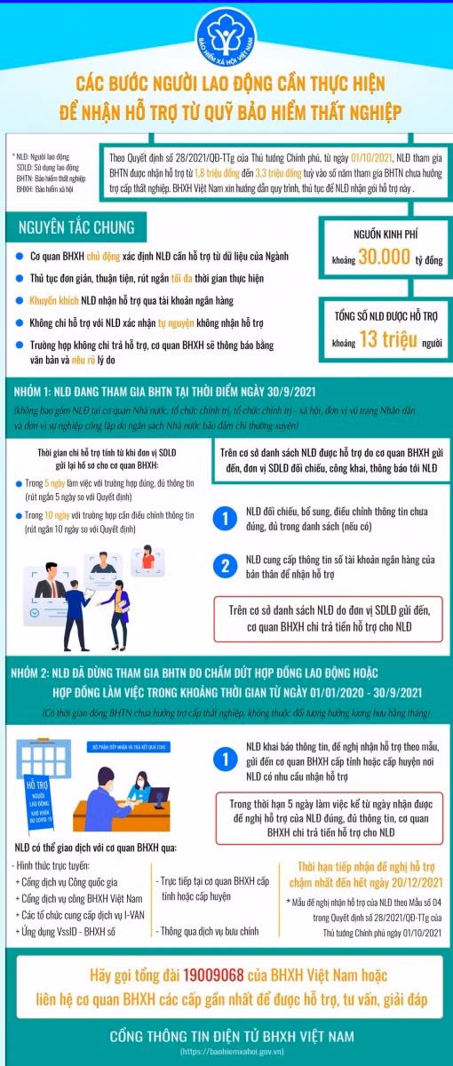Các bước người lao động cần thực hiện để nhận hỗ trợ từ Quỹ bảo hiểm thất nghiệp ảnh 1