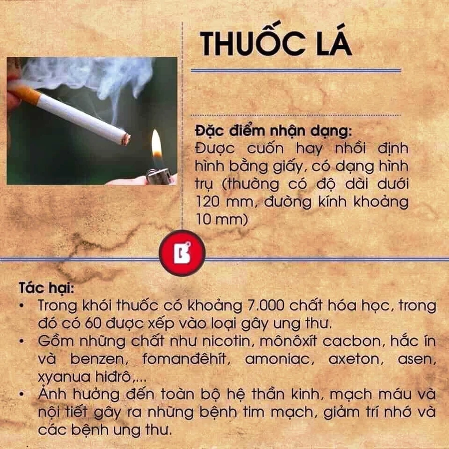 Trong khói thuốc lá có khoảng 7.000 chất hóa học. Ảnh minh họa.