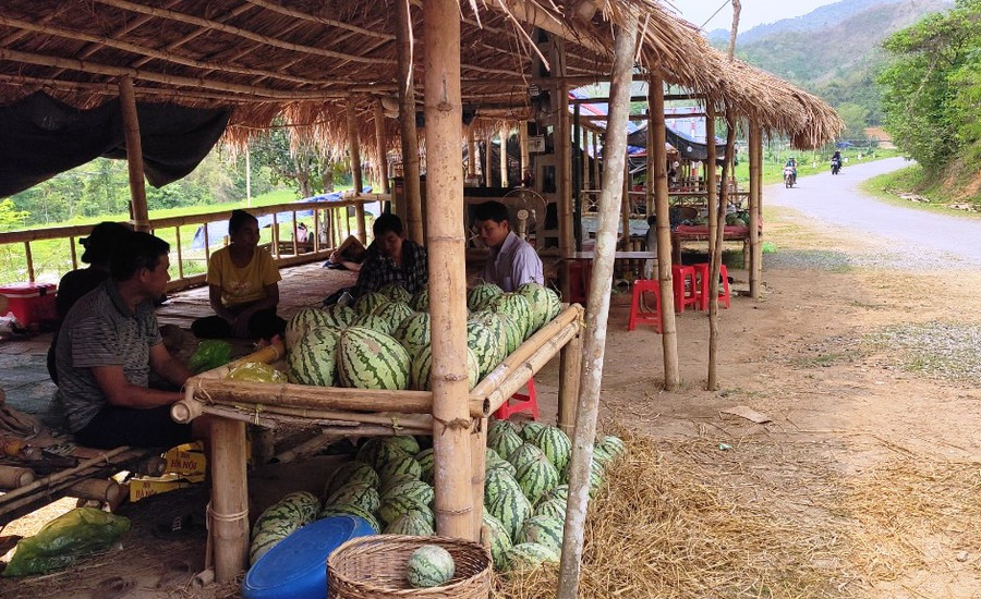 Người dân ở bản Sáng, xã Quang Chiểu, huyện Mường Lát (Thanh Hóa) dựng lều để bán dưa hấu ở ven đường. (Ảnh: TL)