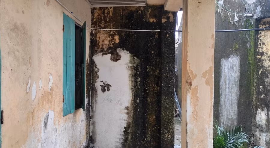 Ngoài hành lang lớp học, tường cũng bị xuống cấp nghiêm trọng, rêu phủ kín. Ảnh: TL