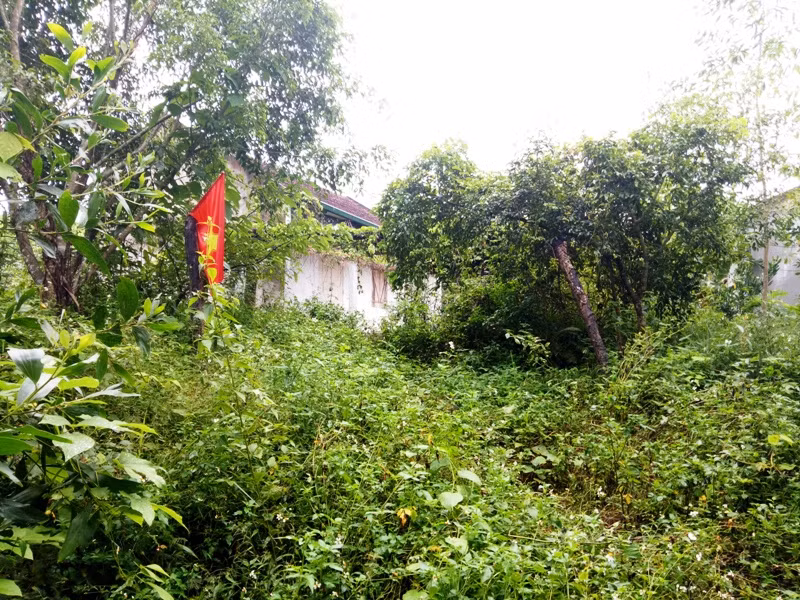 Những căn nhà bỏ hoang ở Làng Thanh niên lập nghiệp Sông Chàng.