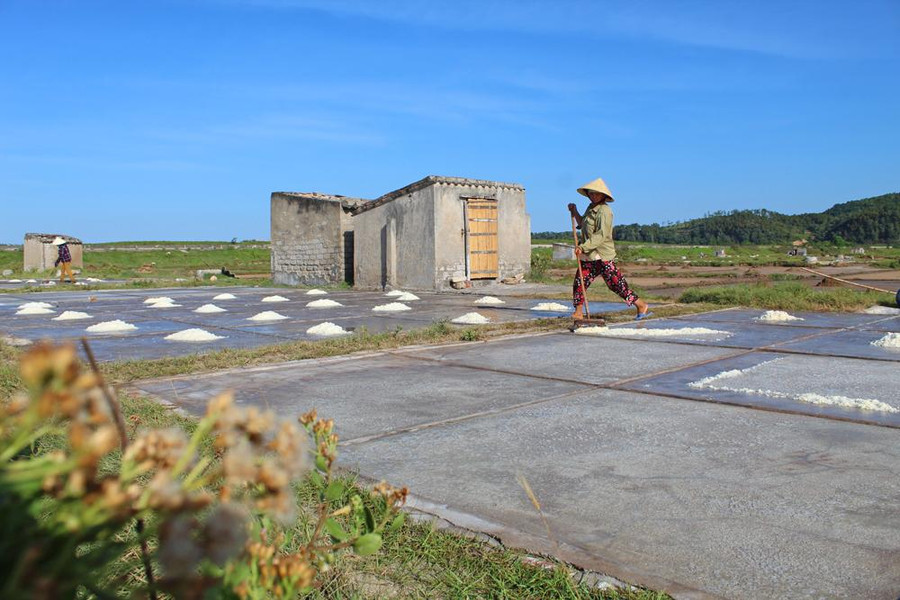 Thời điểm nắng nóng nhất trong ngày lại là lúc dân diêm tại xã Hải Lộc (Hậu Lộc) ra đồng làm muối.