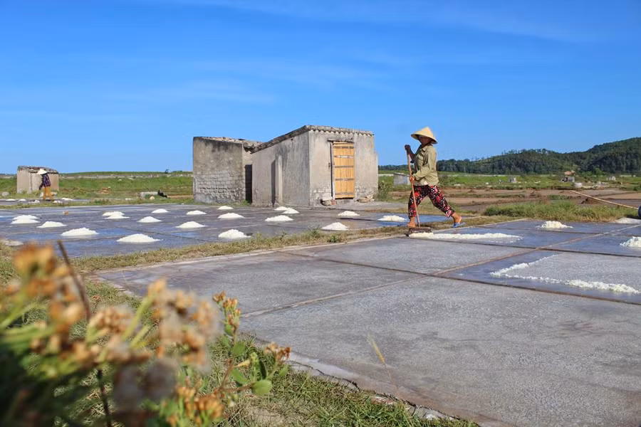 Thời điểm nắng nóng nhất trong ngày lại là lúc dân diêm tại xã Hải Lộc (Hậu Lộc) ra đồng làm muối.