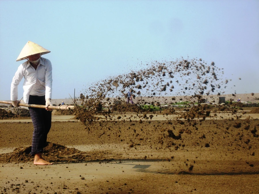 Diêm dân phơi cát để làm muối.