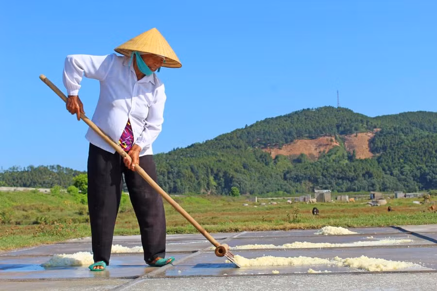 Bà Dương Thị Chúc cần mẫn thu hoạch ruộng muối của gia đình dưới nắng chiều gay gắt.