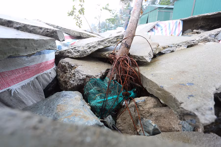 Mới tu sửa kè biển ở Cửa Lò lại bị sóng đánh tan hoang ảnh 8