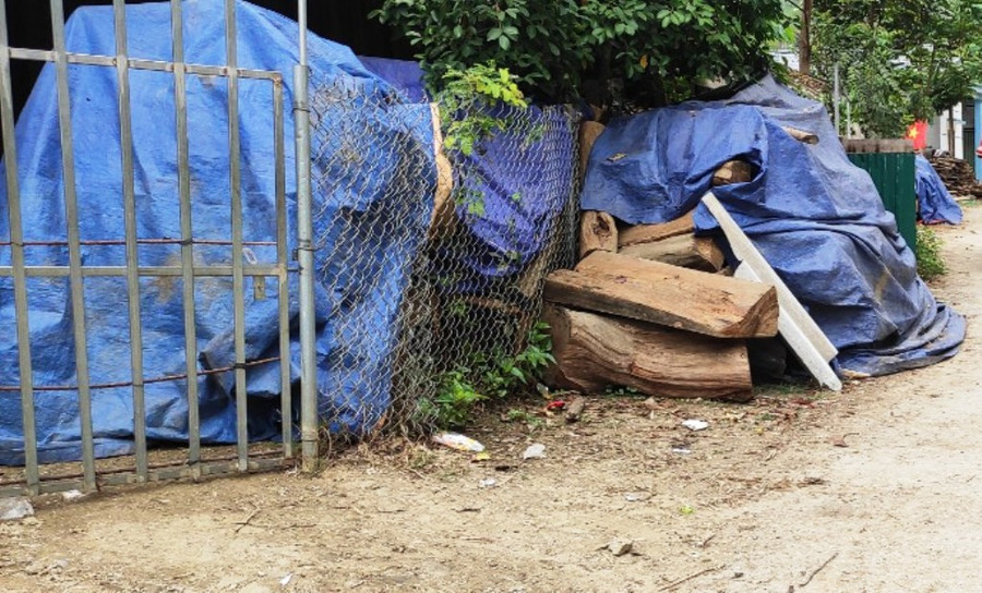 "Phương án để vào nhà dân thu gom về không hề đơn giản, mà phải có lệnh của Viện KSND và các cơ quan chức năng cùng phối hợp để khám nhà", ông Tùng cho hay. "Phương án để vào nhà dân thu gom về không hề đơn giản, mà phải có lệnh của Viện KSND và các cơ quan chức năng cùng phối hợp để khám nhà", ông Tùng cho hay.