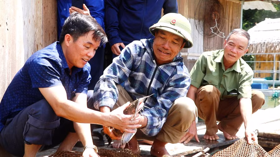 Ông Ngô Sĩ Tâm (trái) - Bí thư Đảng ủy xã Trung Sơn (Quan Hóa, Thanh Hóa) kiểm tra mô hình nuôi cá lăng trong lồng, bè ở lòng hồ thủy điện Trung Sơn. (Ảnh: HĐ)
