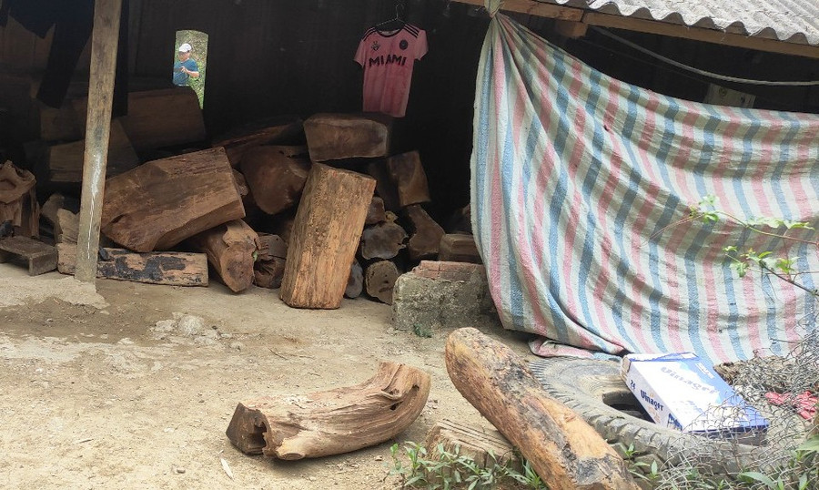 Cũng theo ông Tùng, khi đơn vị phát hiện xe vận chuyển gốc, gỗ trái phép thì phải truy bắt. Tuy nhiên, việc người dân đi xe máy chở gốc, gỗ bằng đường tiểu ngạch thì cũng rất khó cho lực lượng kiểm lâm. Cũng theo ông Tùng, khi đơn vị phát hiện xe vận chuyển gốc, gỗ trái phép thì phải truy bắt. Tuy nhiên, việc người dân đi xe máy chở gốc, gỗ bằng đường tiểu ngạch thì cũng rất khó cho lực lượng kiểm lâm.