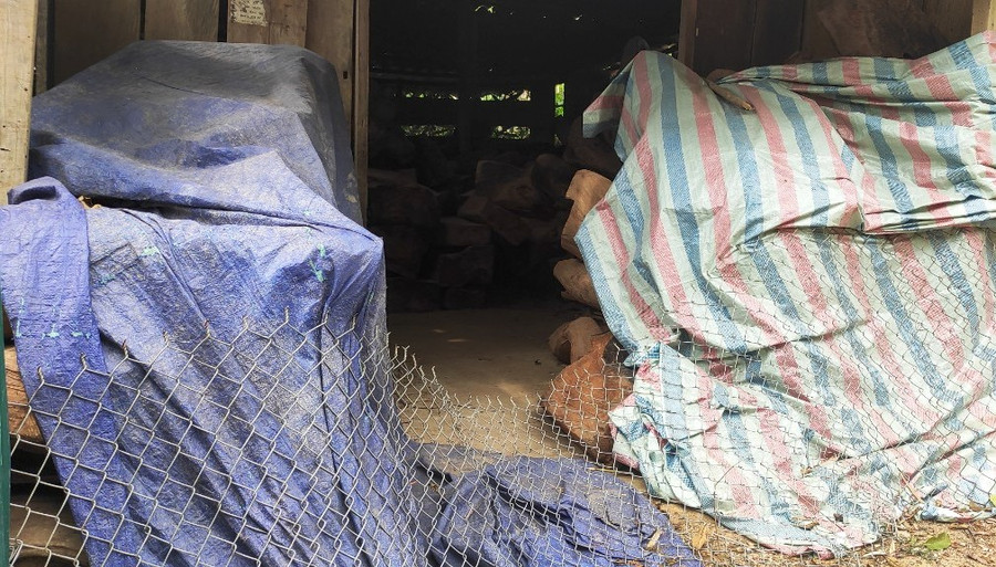 “Nhìn những đống gốc, gỗ được để trong nhiều nhà dân ở bản Cơm, bản Pù Ngùa là rất phản cảm”, ông Tùng đánh giá. “Nhìn những đống gốc, gỗ được để trong nhiều nhà dân ở bản Cơm, bản Pù Ngùa là rất phản cảm”, ông Tùng đánh giá.