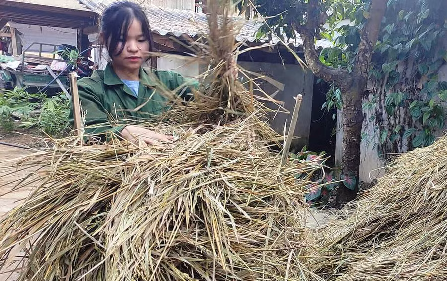 Sau giờ học, Tuyến phụ giúp cha mẹ công việc ở nhà.