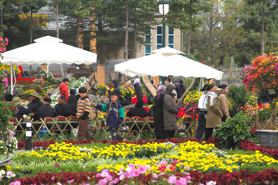 Trong khuôn khổ lễ hội, các hoạt động thể thao, trò chơi dân gian, các cuộc thi về hoa, cây cảnh, giao lưu văn hóa, văn nghệ giữa các thôn và một số nghệ sĩ… cũng sẽ được tổ chức.