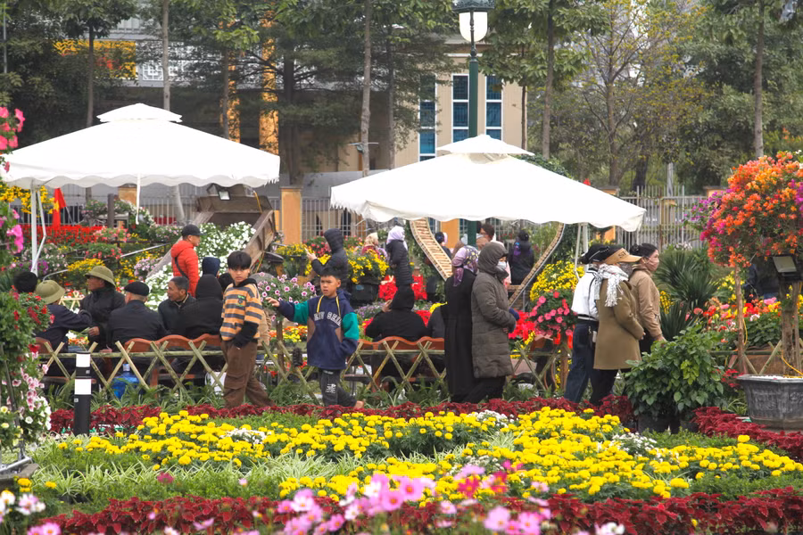 Trong khuôn khổ lễ hội, các hoạt động thể thao, trò chơi dân gian, các cuộc thi về hoa, cây cảnh, giao lưu văn hóa, văn nghệ giữa các thôn và một số nghệ sĩ… cũng sẽ được tổ chức.