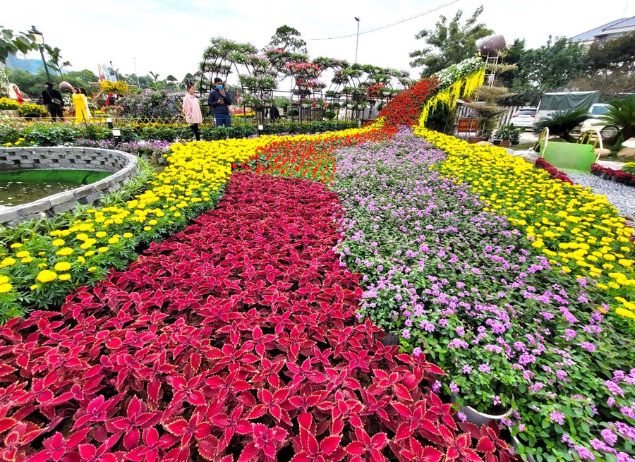 Trải nghiệm, ngắm nhìn không gian hoa rực rỡ sắc màu với nhiều tiểu cảnh độc đáo, mới lạ và giao lưu học hỏi kinh nghiệm từ những người trồng hoa có thâm niên và tay nghề.